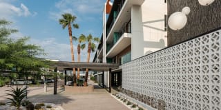 Roadrunner on McDowell Gallery 29