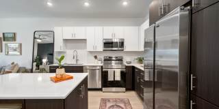 Vine at Panorama Gallery 7