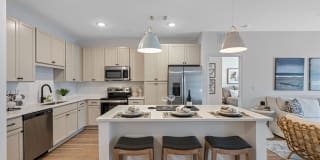 Primrose at Santa Rosa Beach Gallery 2