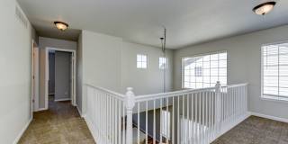 3 Bed 3 Bath corner Lot in Broomfield! Newly Refinished Wood Floors With Pool!! 3 Bed 3 Bath corner Lot in Broomfield! Newly Refinished Wood Floors With Pool!! Gallery 27