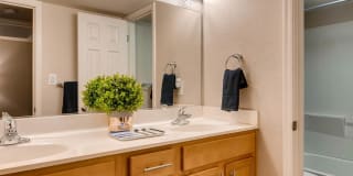 Scottsdale Gateway Gallery 14