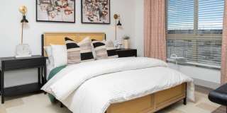 Legacy Metro 525 Gallery 4