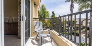 19341 Sawgrass Lane Gallery 20