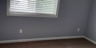 Newly remodeled Gallery 11