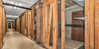 115 Short Beach Road Gallery 14