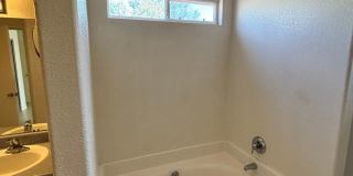 Available Now! Gallery 11