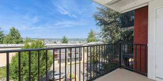 Arrive Magnolia Gallery 19