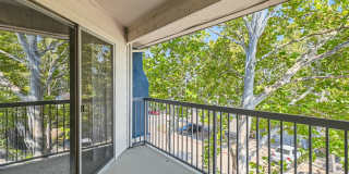 Rise Fossil Creek Gallery 101