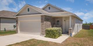 5418 Cicada Gallery 3