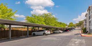 Silver Creek Gallery 41