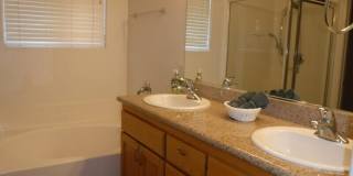 49544 Wayne Street Gallery 52