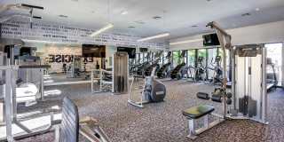 Club Prado Gallery 7