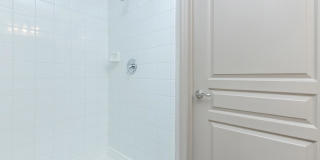 RIZE at Winter Springs Gallery 117