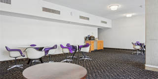 4141 Bayshore Blvd Apt 1204 Gallery 24