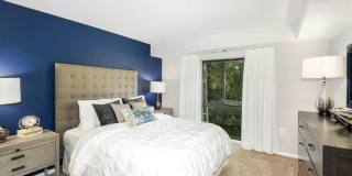 The Cloisters Gallery 52