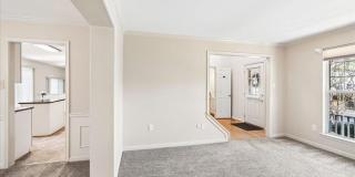 18512 FIDDLELEAF Terrace Gallery 6