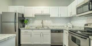 Avenues of Kennesaw Gallery 1