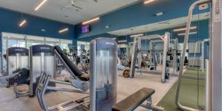 The View at TPC Gallery 18