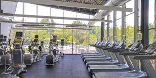 Rittenhouse Hill Gallery 23