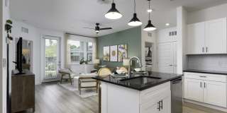 The Dahlia Gallery 5