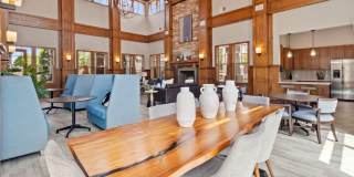 Windsor Mustang Park Gallery 5