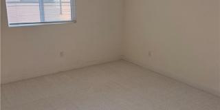 2074 Wild Wood Gallery 13