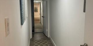 The Shelby Apartments Gallery 13