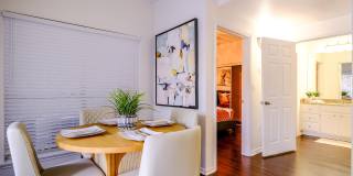 San Marin Gallery 28