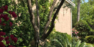 10379 North Pierpont Circle Gallery 5