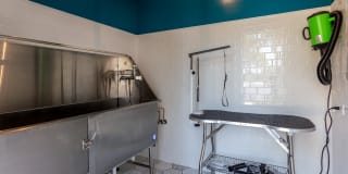 TGM Retreat at Danada Gallery 25