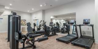 Acclaim at Cary Pointe - 62+ Active Adult Gallery 49