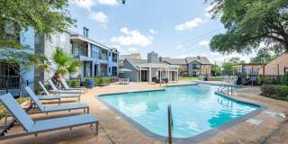 The Iris The Iris Gallery 18