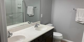 7020 Albatross Attic Street Gallery 60