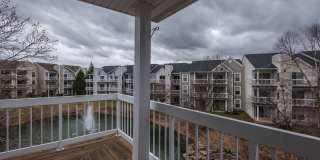 20579 SNOWSHOE Square Gallery 1