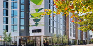 Triangle Square Gallery 25