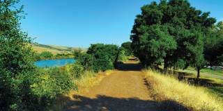 Monterey Grove Apartments Monterey Grove Apartments Gallery 24