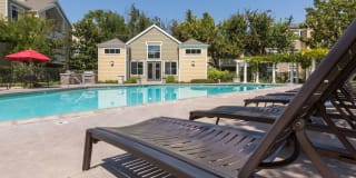 Woodland Meadow Gallery 5