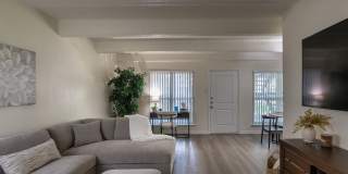 Harvard Square Apartments Gallery 7