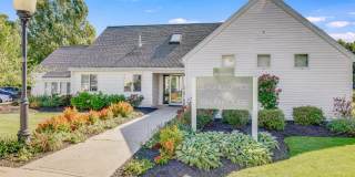 The Meadows Gallery 43