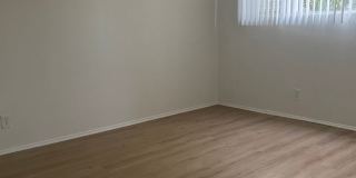 Elm 320 Gallery 10