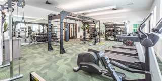 The Isabella Gallery 28