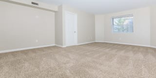 278 Main Street Gallery 25