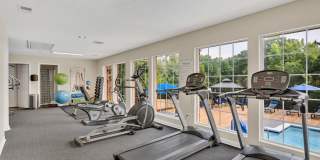 Turtle Lake Gallery 27