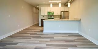 Main2525 Gallery 37