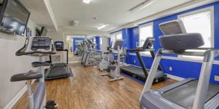 Park Crest Gallery 4