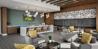 Roadrunner on McDowell Gallery 9