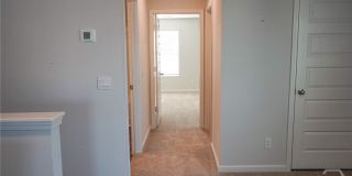 391 Coconut Drive Gallery 45