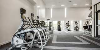 Lamar Union Gallery 51