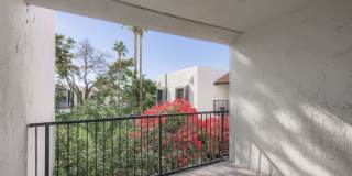 Tempe Vista Gallery 63