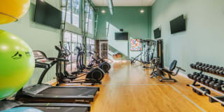 Timber Hollow Gallery 15